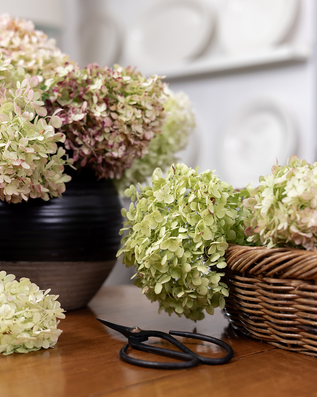 How to Dry Hydrangeas Perfectly Every Time - The Creek Line House